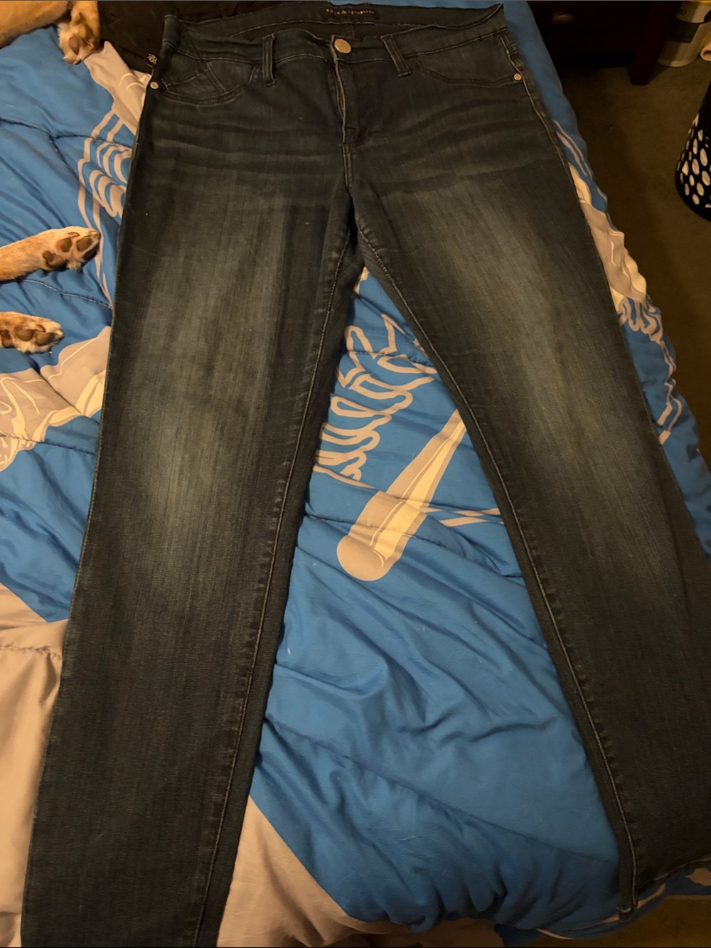 Rock & Republic Blue Washed Skinny Jeans